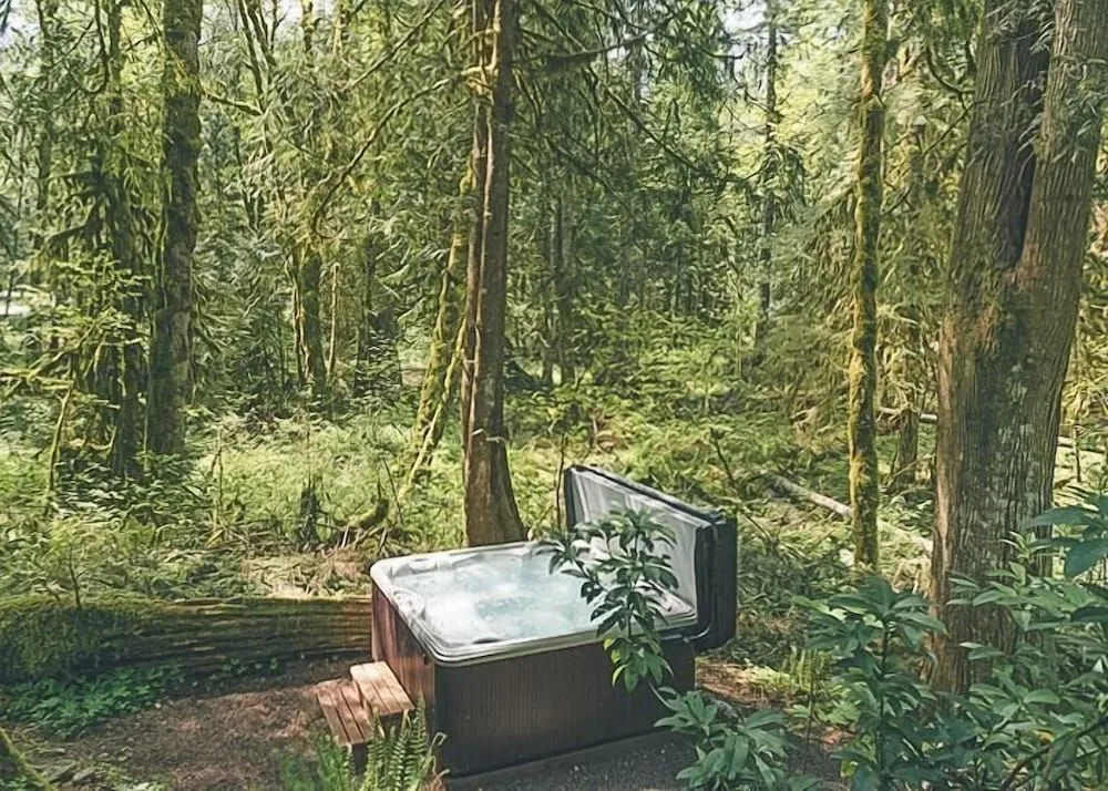 Cozy Bear Cabin