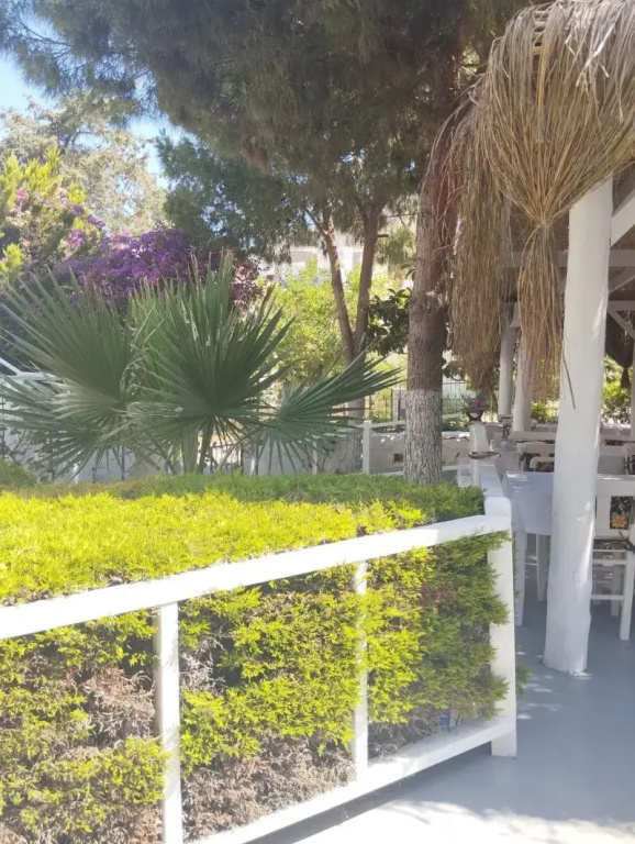 Olo Bodrum Hotel - Général