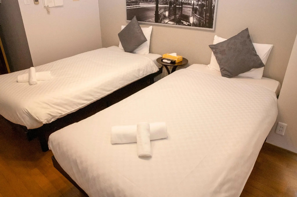 Standard Double room (twin beds)