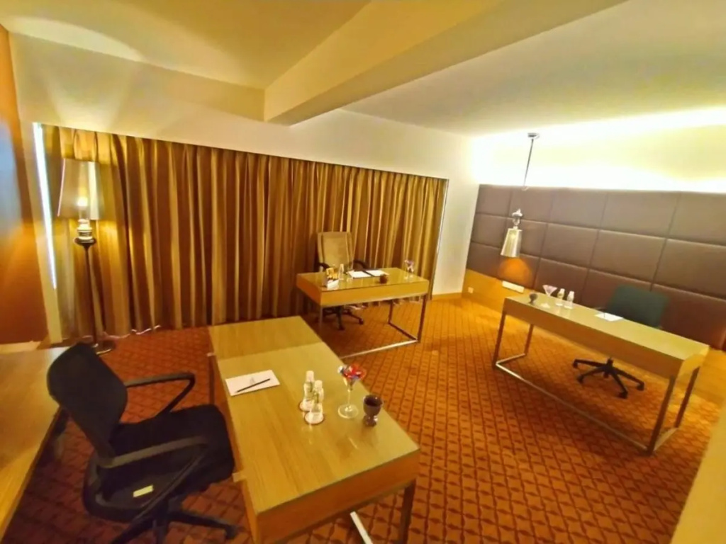 Pride Plaza Hotel, Ahmedabad - Général