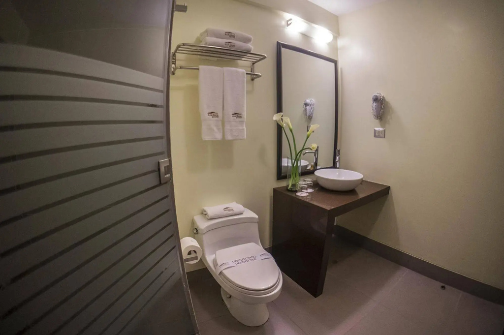 Hotel photo 8
