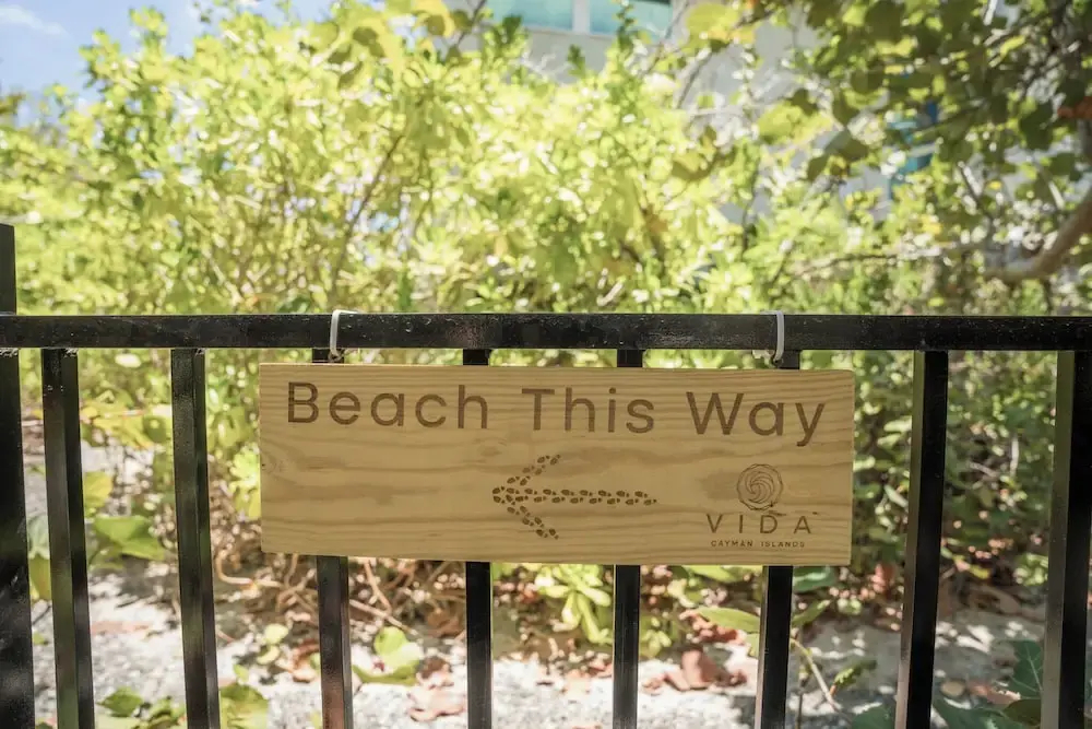 VIDA Cayman - фото 16