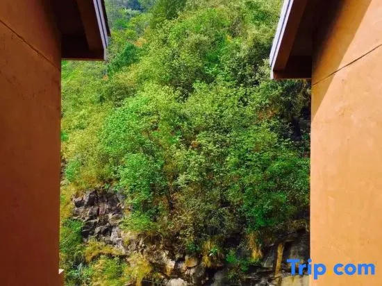 Balcony & Terrace