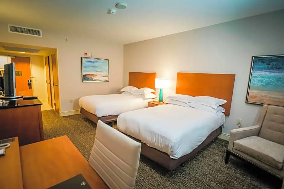 Hilton St. Petersburg Carillon Park - Chambres