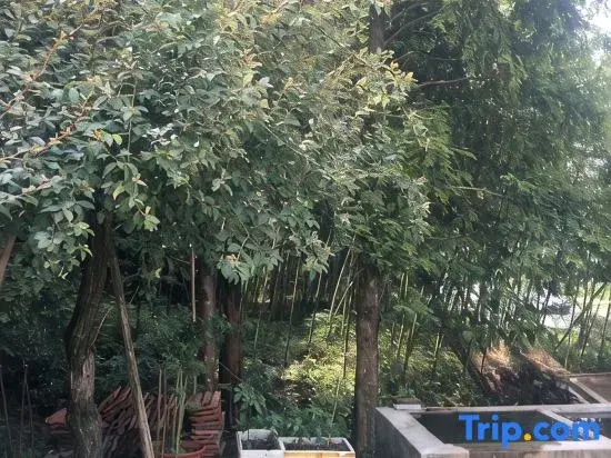 Anji Antan Homestay