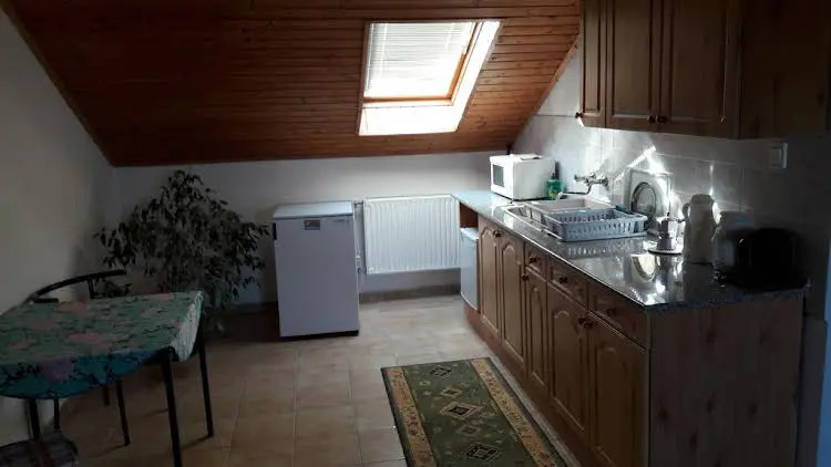 Hot-l Mini - фото 14