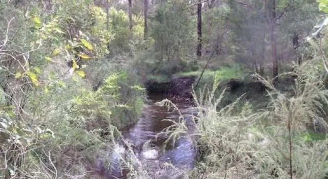 Woody Grange Chalets — фото 5