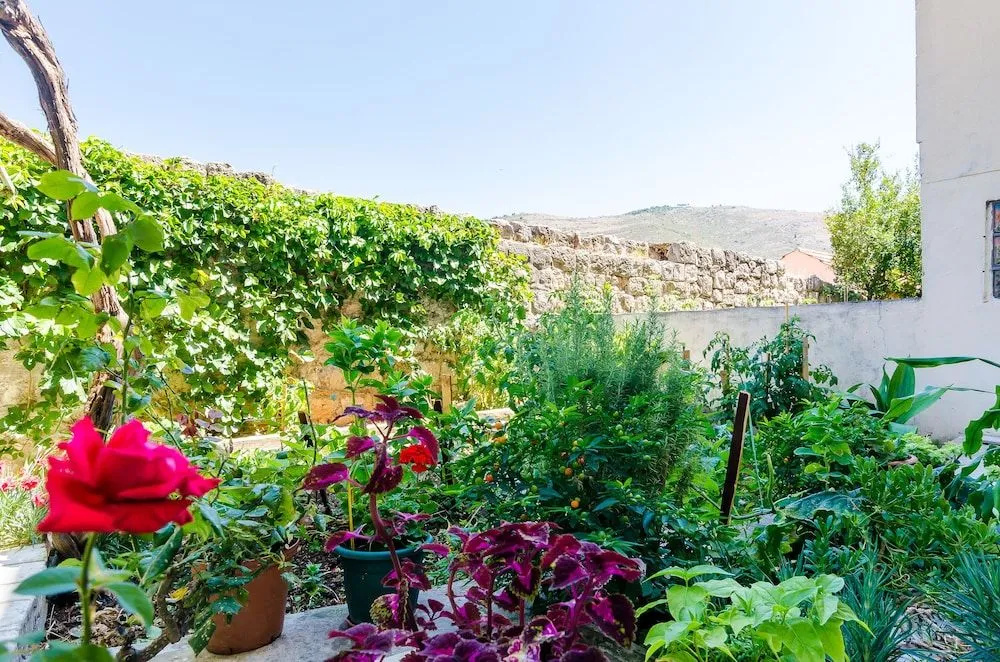 Apartment Lapad Gardin