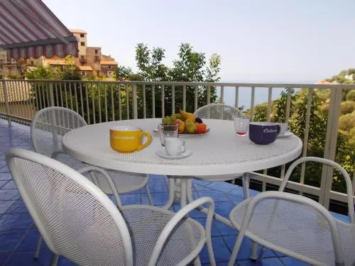 Balcony & Terrace