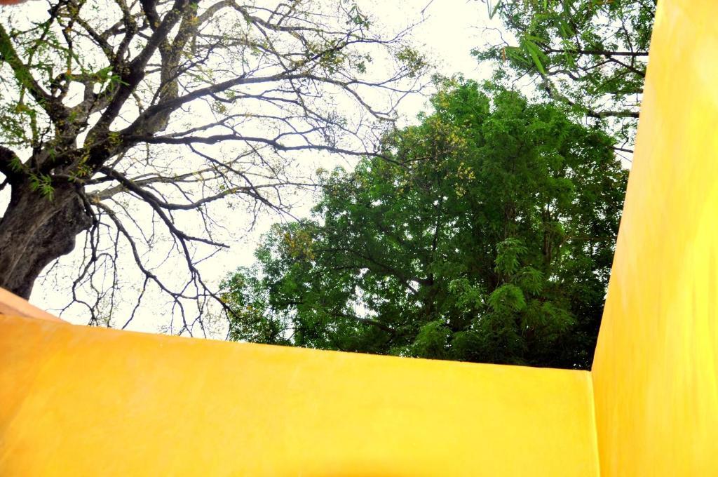 Raintree