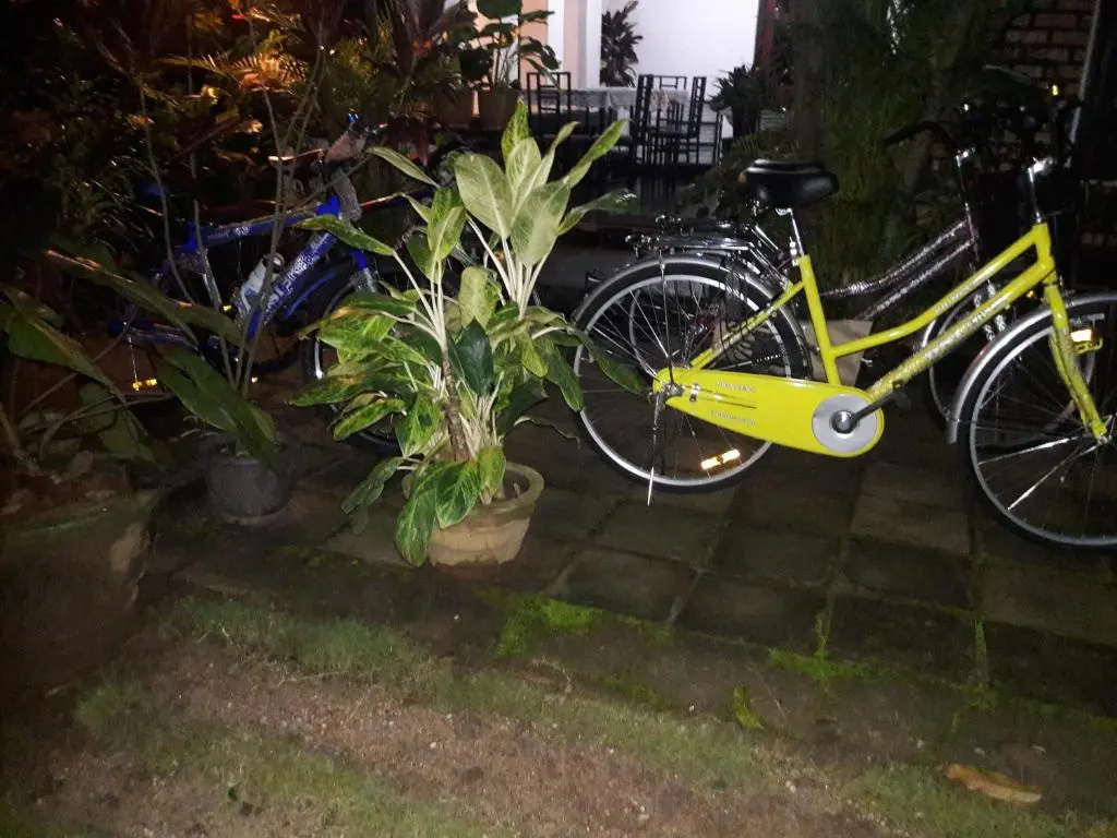 A.I.O Home Stay