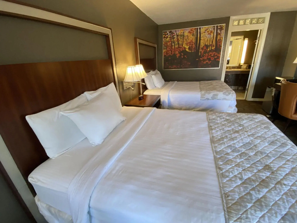 Cascades Inn - фото 5