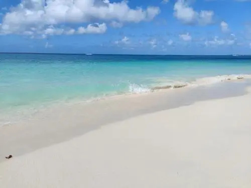 Jardines Del Mar - Général