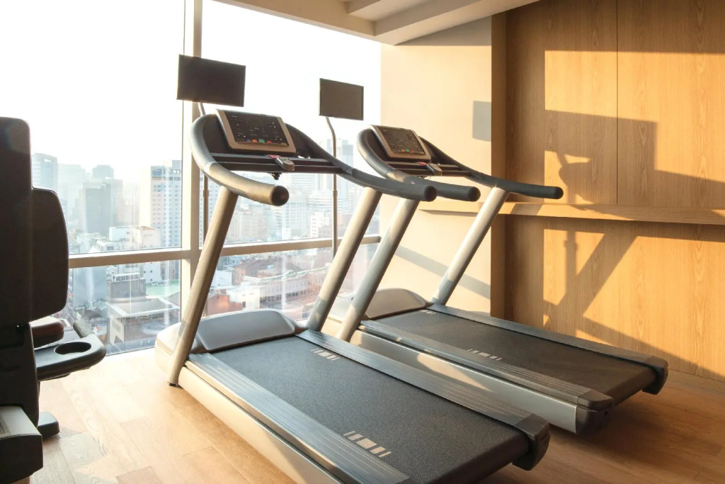 ibis Styles Ambassador Seoul Myeongdong - Général
