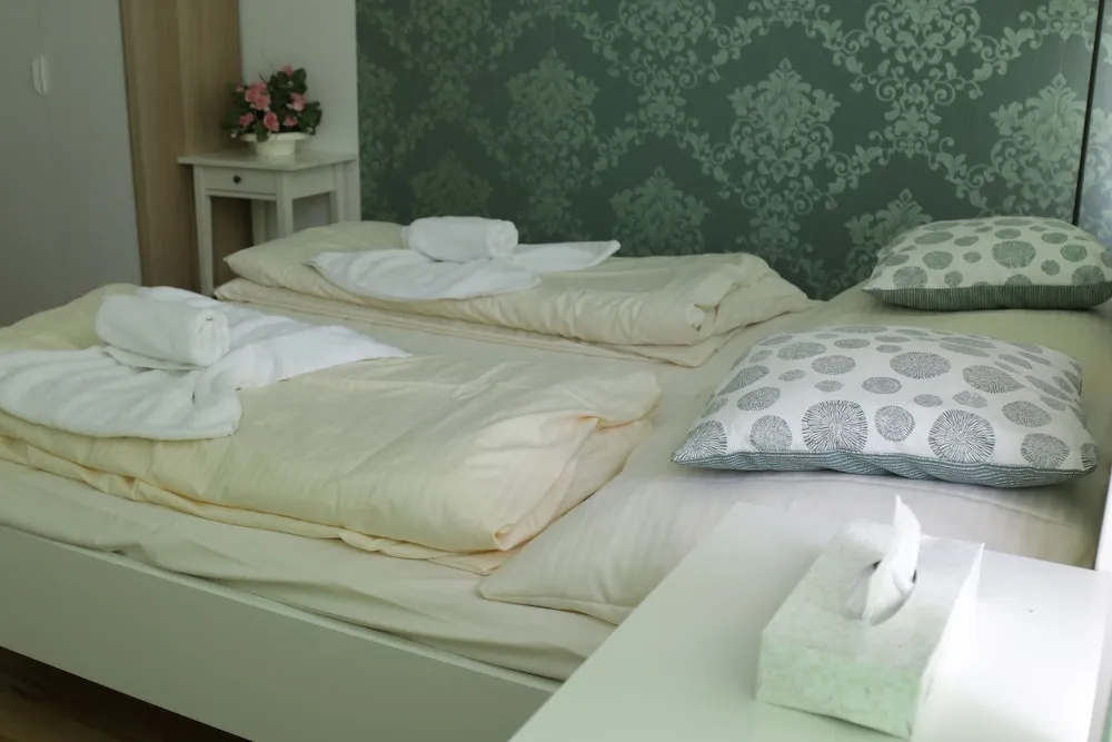 Standard Double room (twin beds)