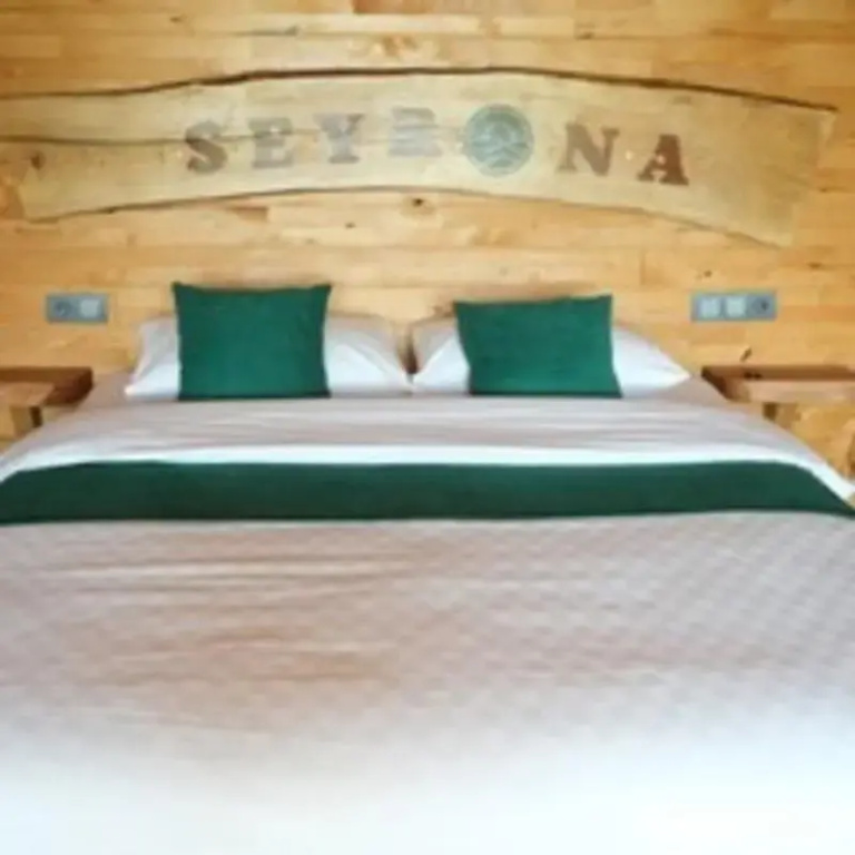 Seyrona Butik Otel - фото 19
