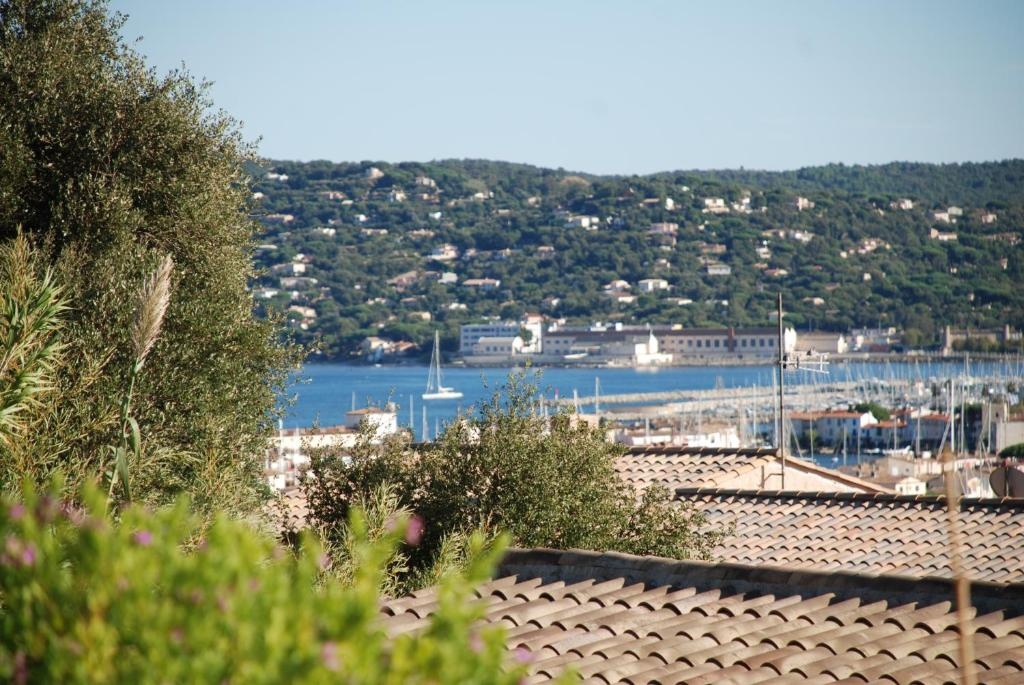 Beach & Waterfront