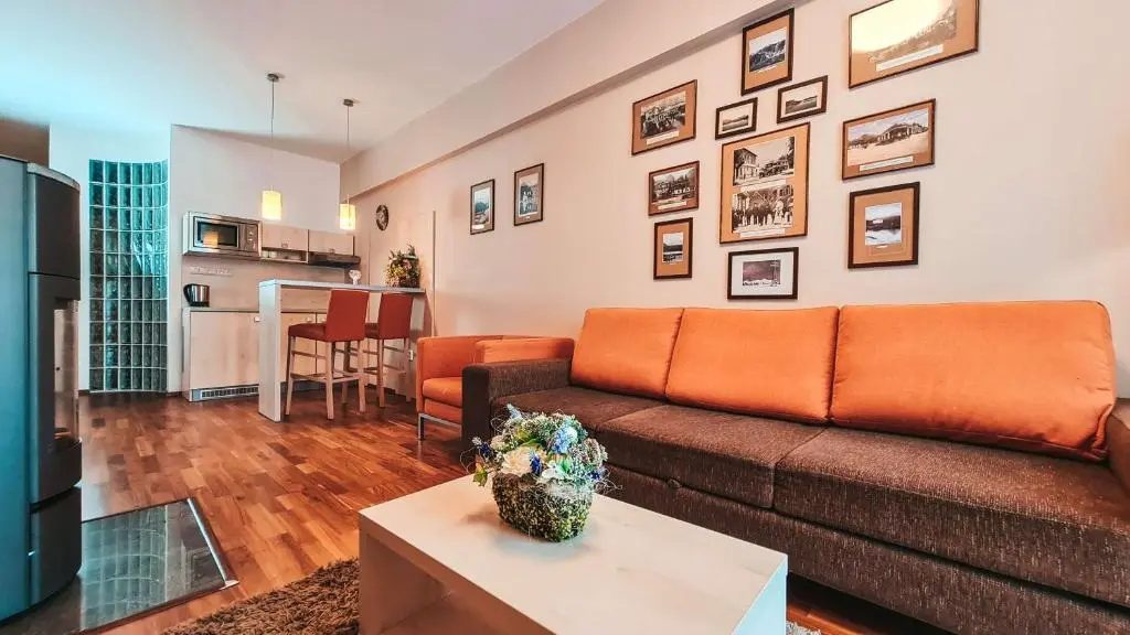 Comfort Apartment with balcony