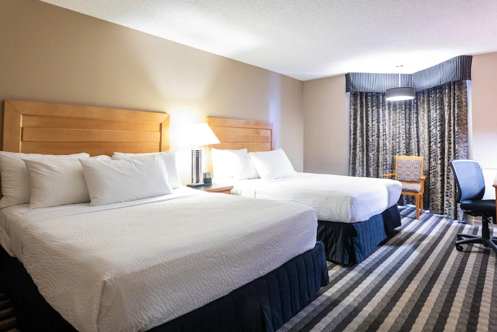 Royal Hotel West Edmonton, Trademark Collection by Wyndham - Chambres