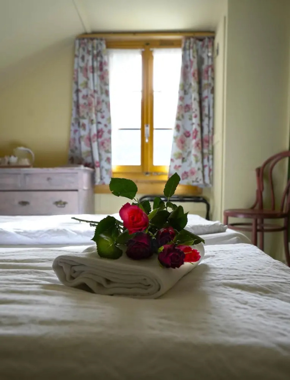 Standard Double room with mountain view (twin beds)