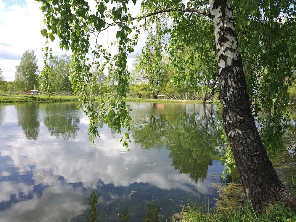 Парк-отель «Софрино» - фото 33