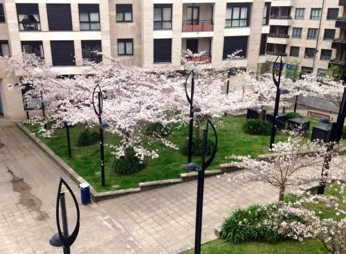 Pensión T5 Donostia Suites - Général