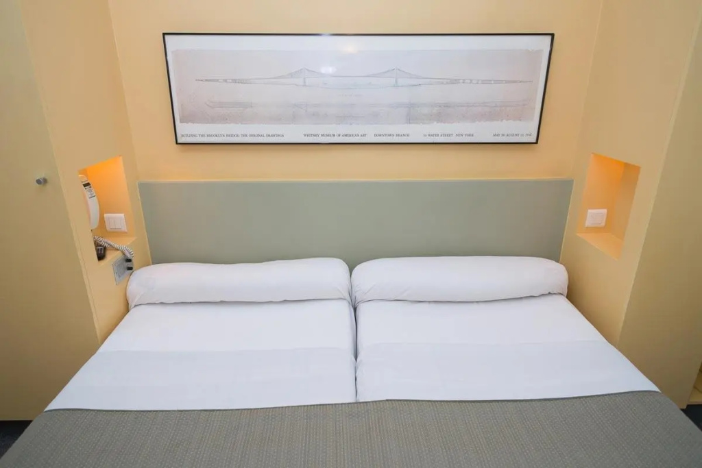 Standard Double room (twin beds)