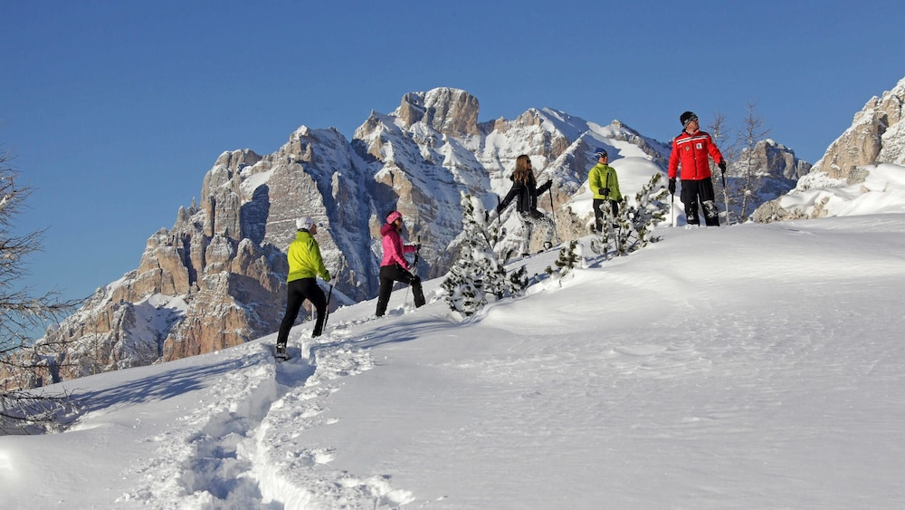 Alpine Hotel Ciasa Lara - Général