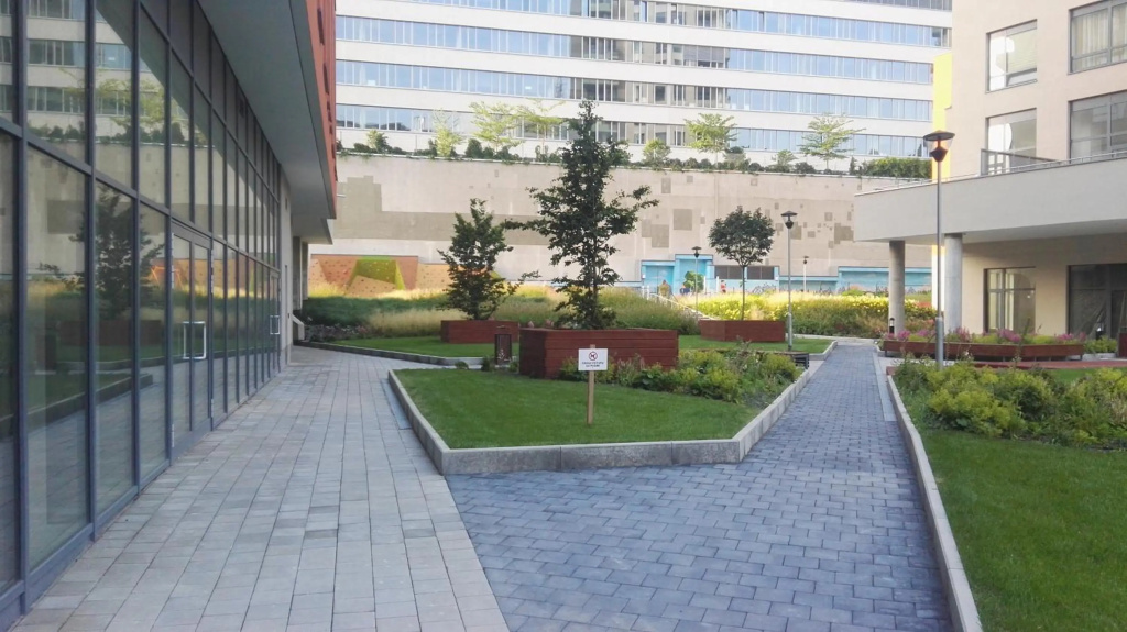 Apollo Apartment