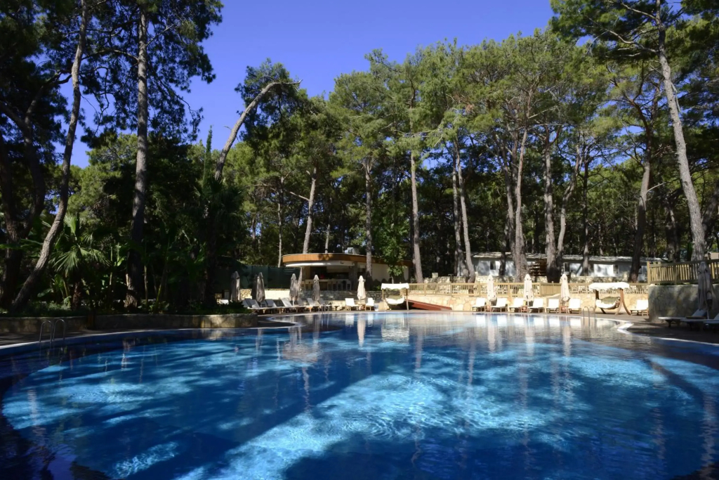 Wome Deluxe - фото 8