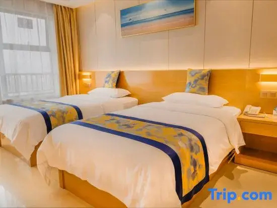 Standard Double room with city view (twin beds)
