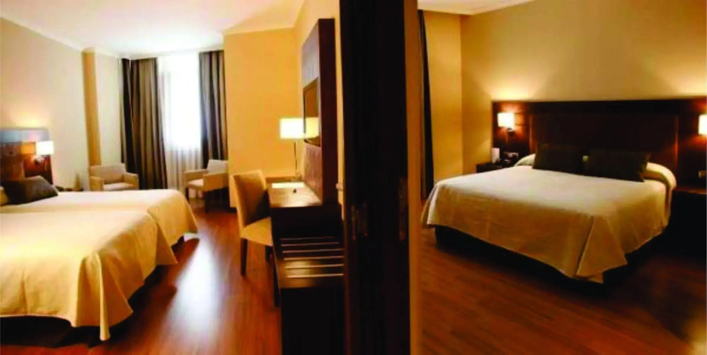 Hotel Villa de Aranda - Général