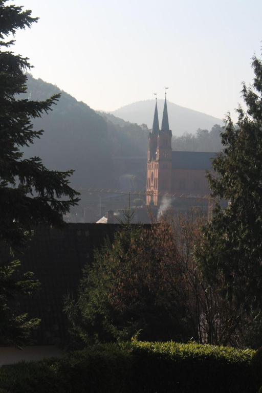 Hotel Am Hirschhorn - Général