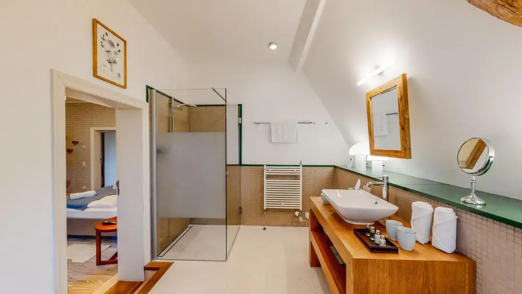 Deluxe Double room (full double bed)