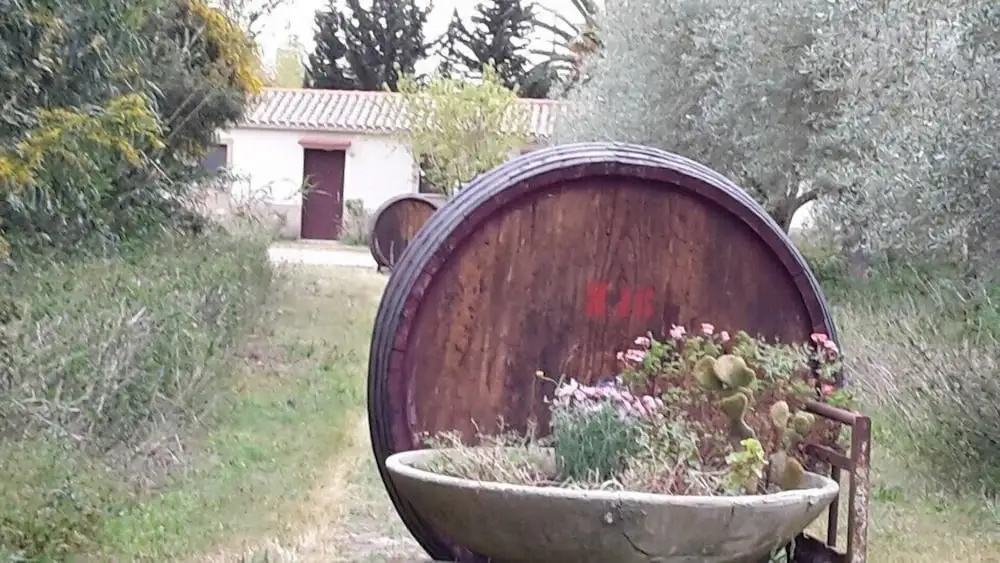 Agriturismo S'Anea