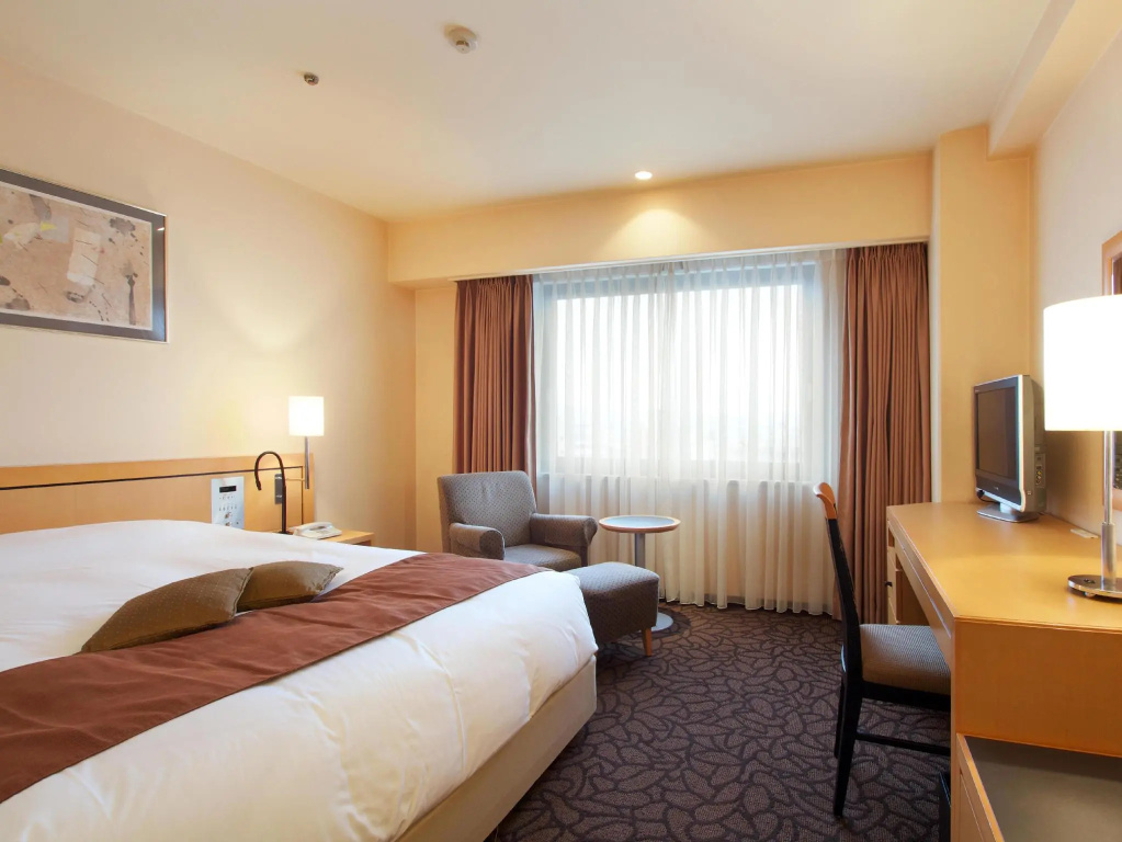 Superior Double room (full double bed)