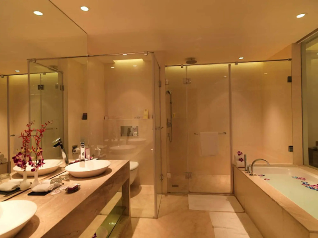 Hotel Royal Orchid - фото 8