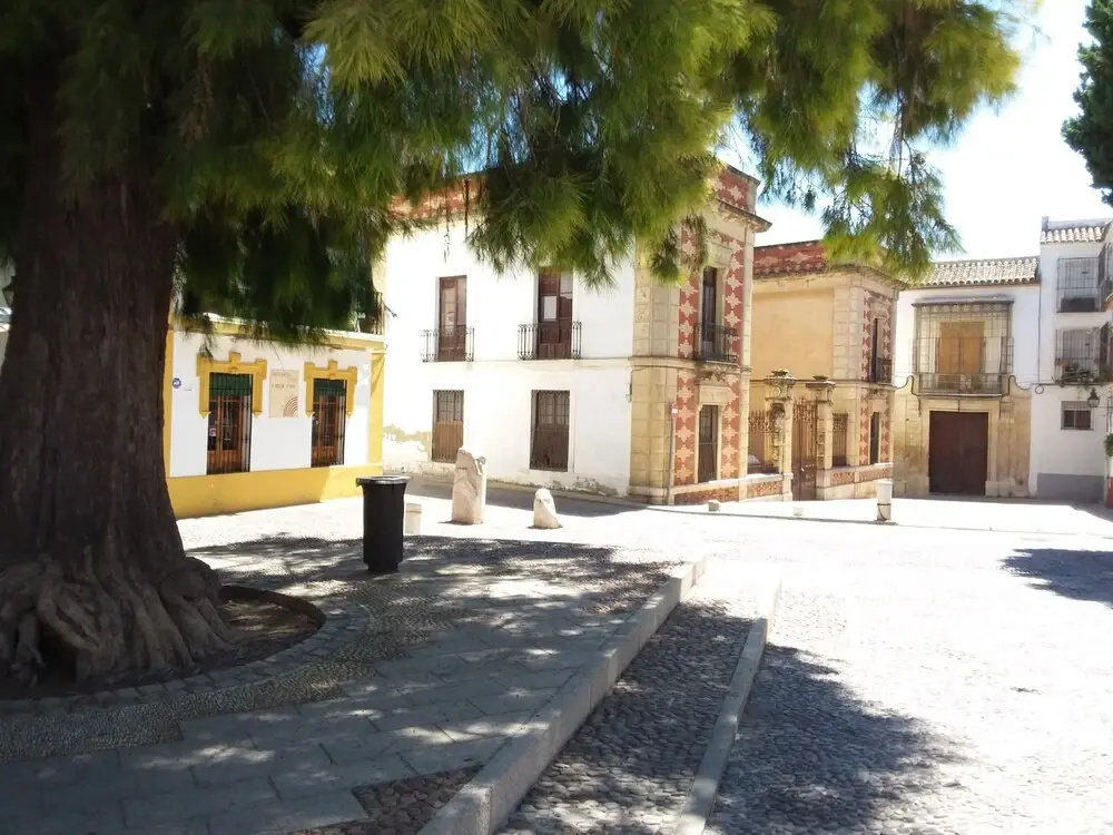 Casa Tipica Cordobesa en la Juderia