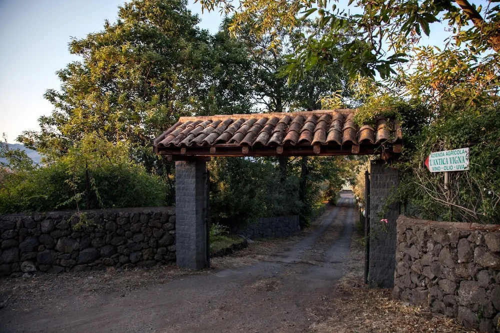 L'Antica Vigna