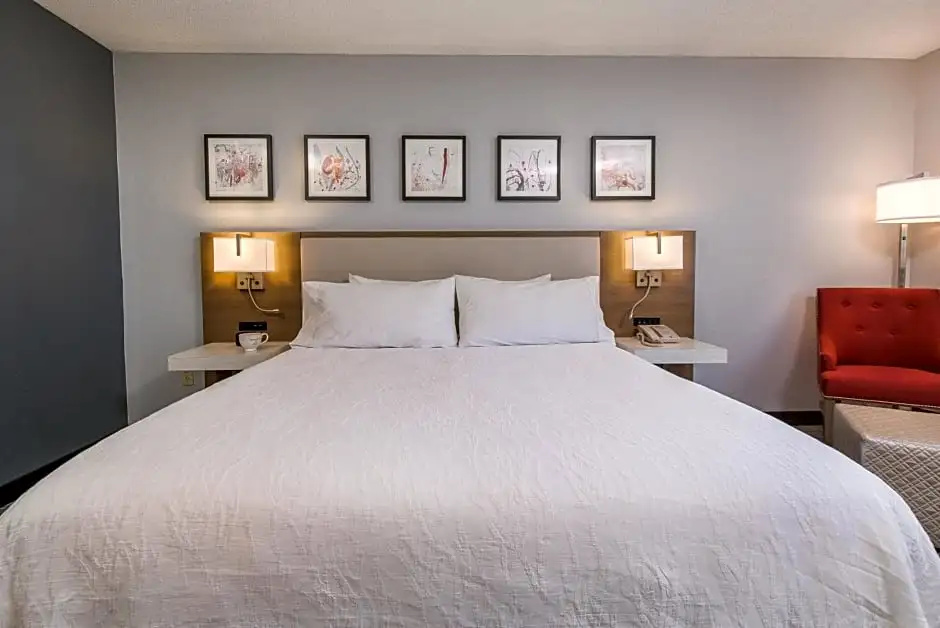 Hilton Garden Inn Atlanta North/Johns Creek - Chambres