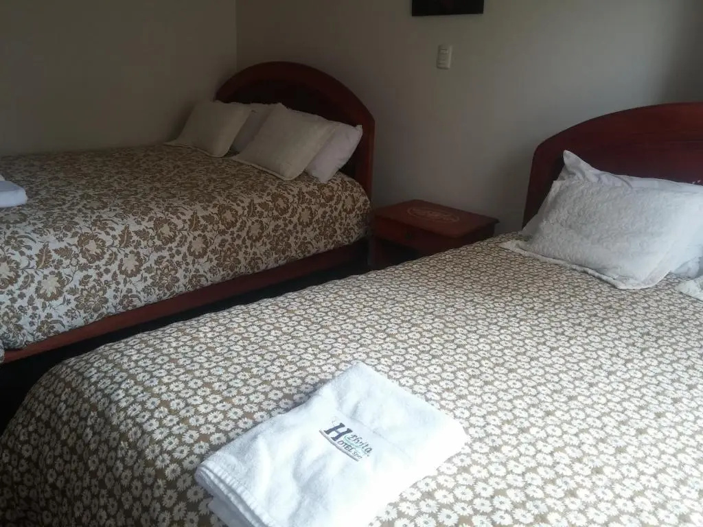 Comfort Double room (twin beds)