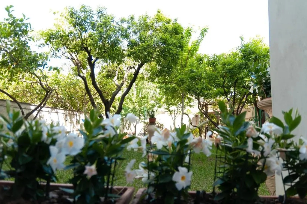 Casa Teresinella Garden