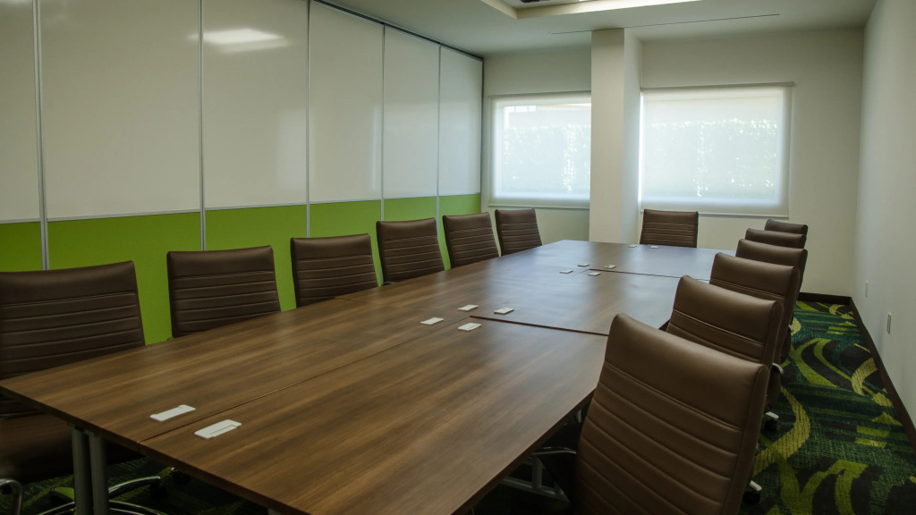 Holiday Inn Express & Suites Celaya by IHG - Général