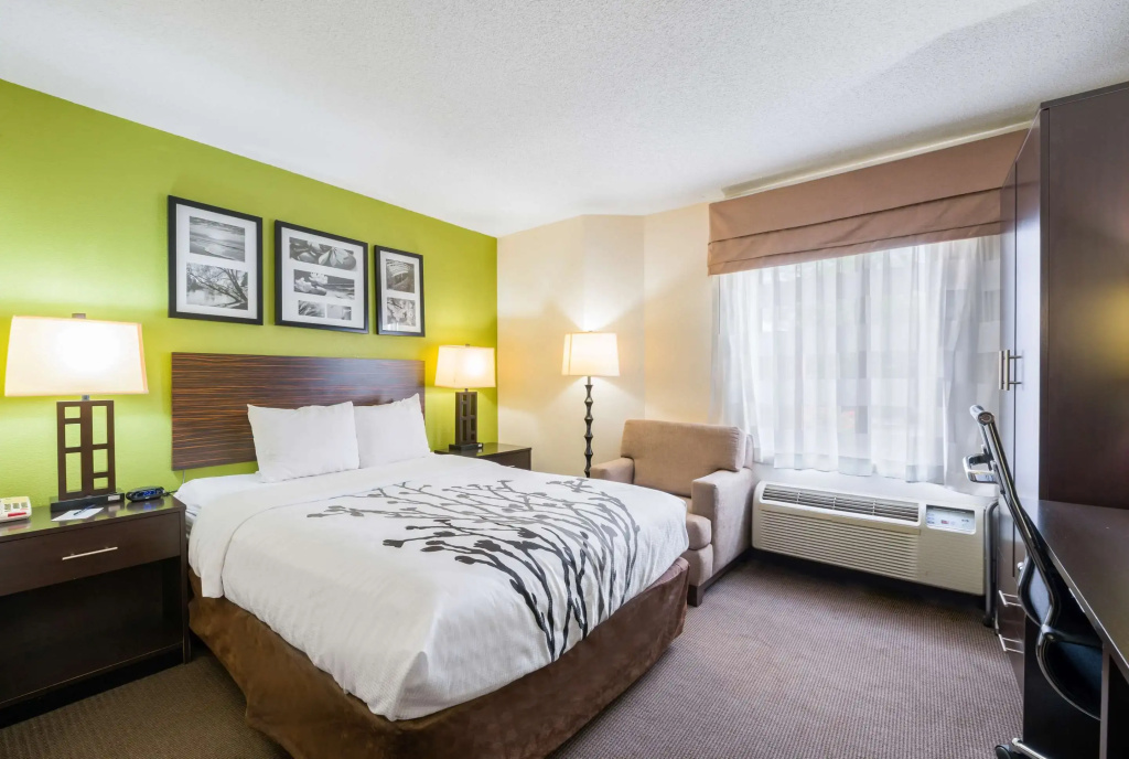 Standard Double room (full double bed)