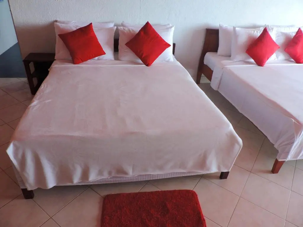 Deluxe Double room (twin beds)