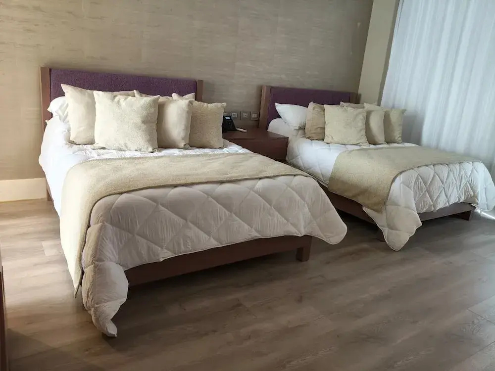 Alesia Hotel Boutique & Spa - Chambres