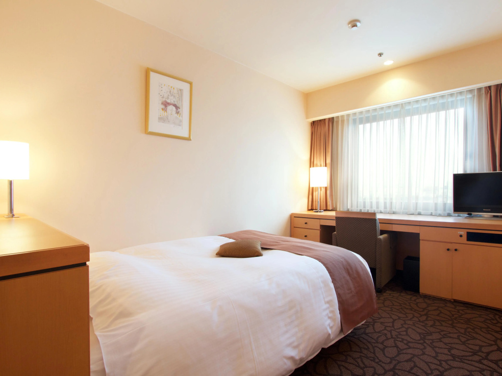 Superior Single room