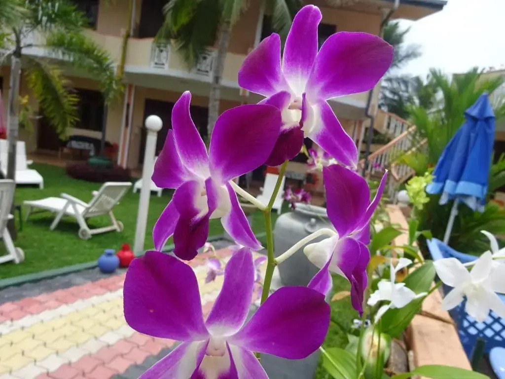 Hilda Guest House