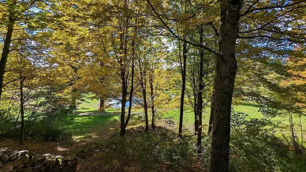 Pond View Cabin