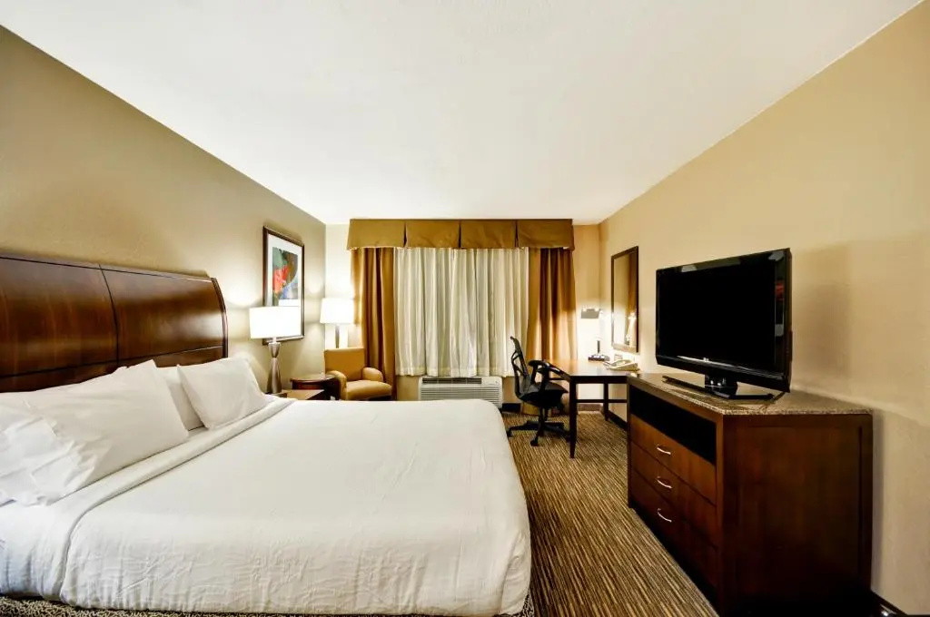 Hilton Garden Inn Tampa North Busch Gardens - Chambres